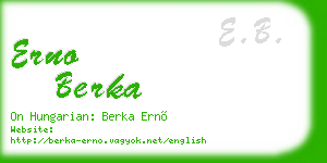 erno berka business card