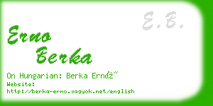 erno berka business card